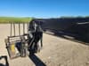 2013 Caterpillar TH514C - 31