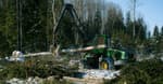 BCIT Offers Industrial Wood Processing Program